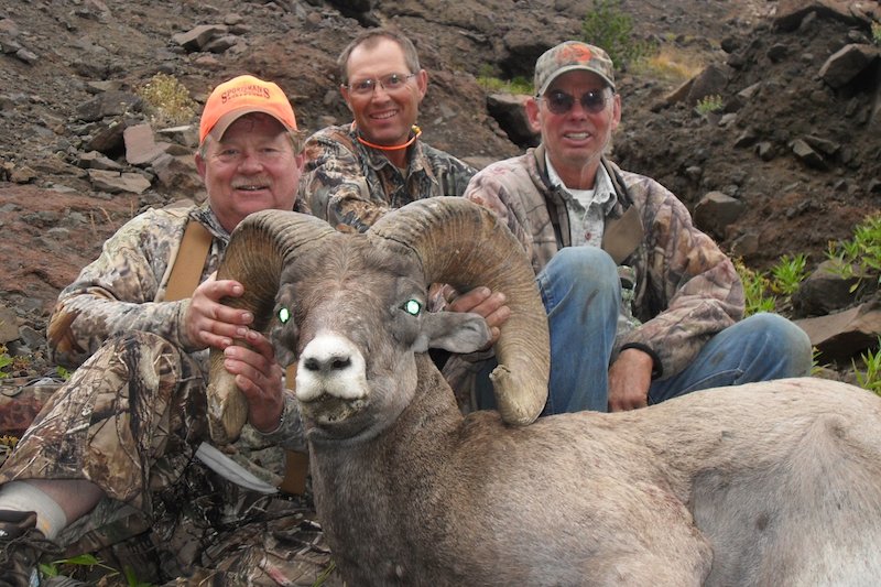 Jim Petersen - BigHorn Sheep 2012