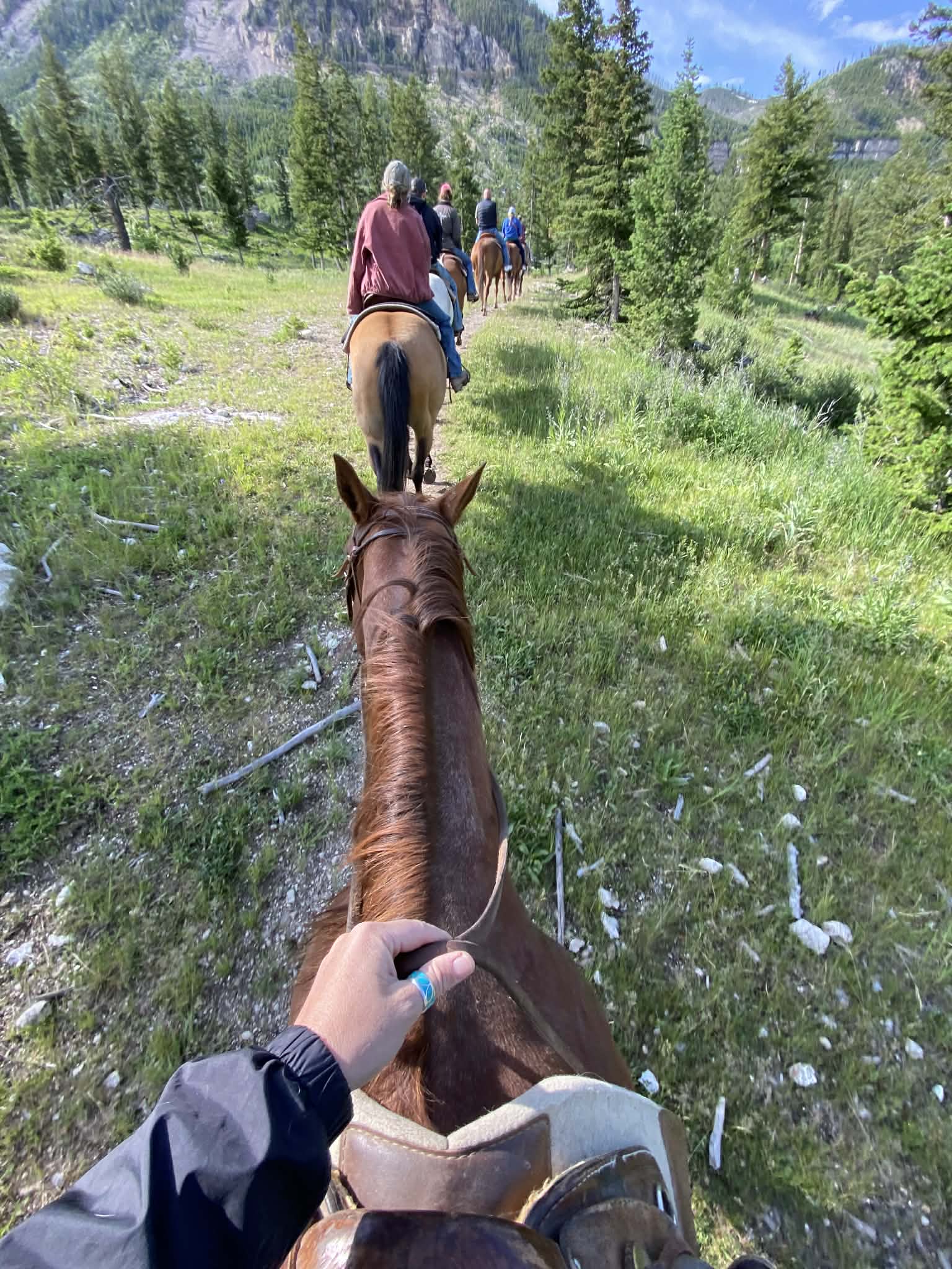 Horseback trail ride