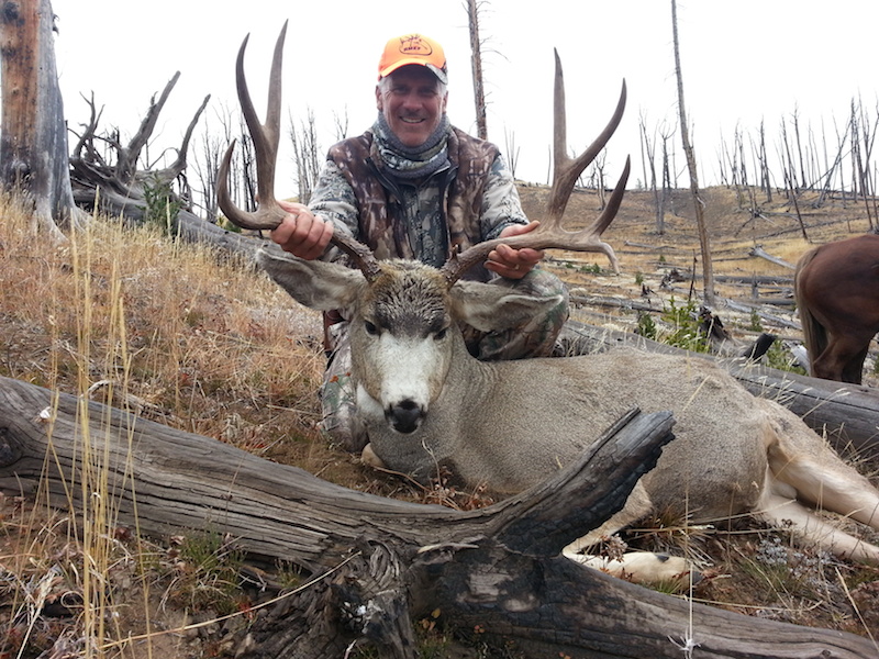 Gary Ganglehoff - Mule Deer 2015