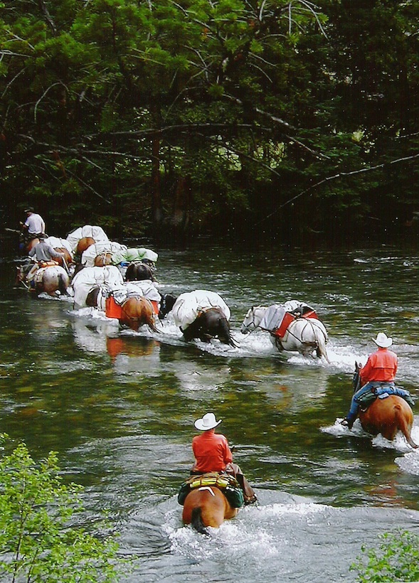 Pack trip into the high country